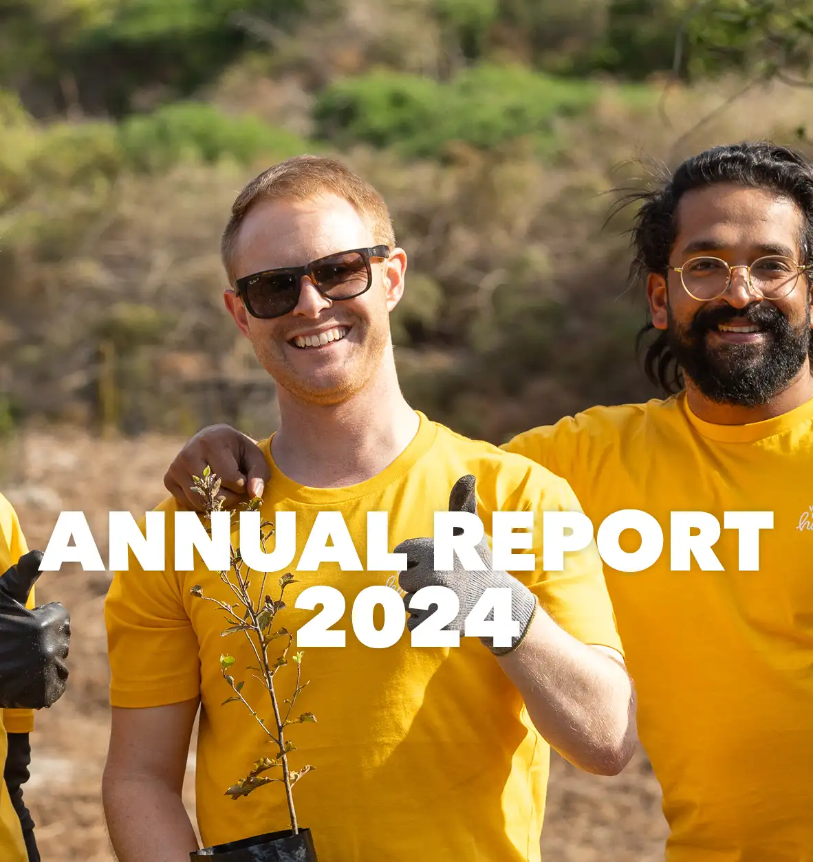 2024.11.28-Annual-report-website-image