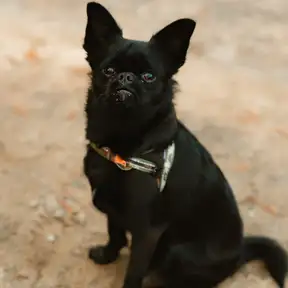 MTFfinance2025-35 (1)