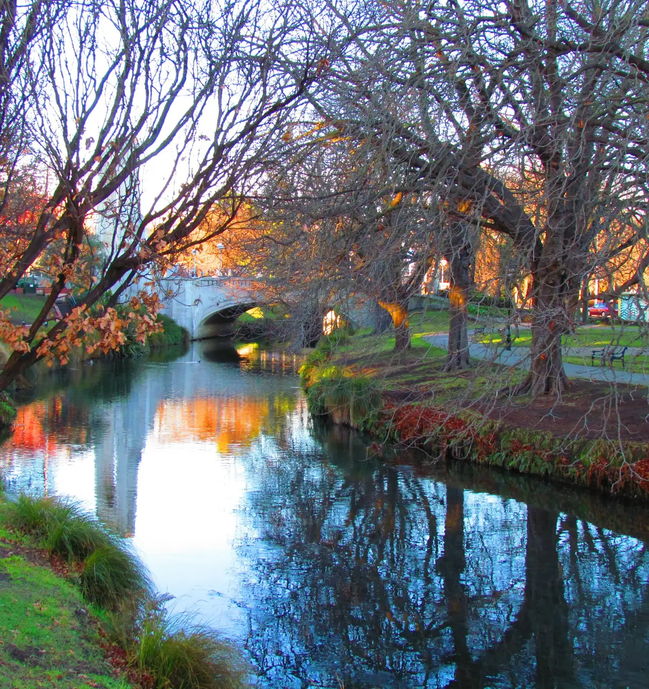 The Avon river in central Christchurch