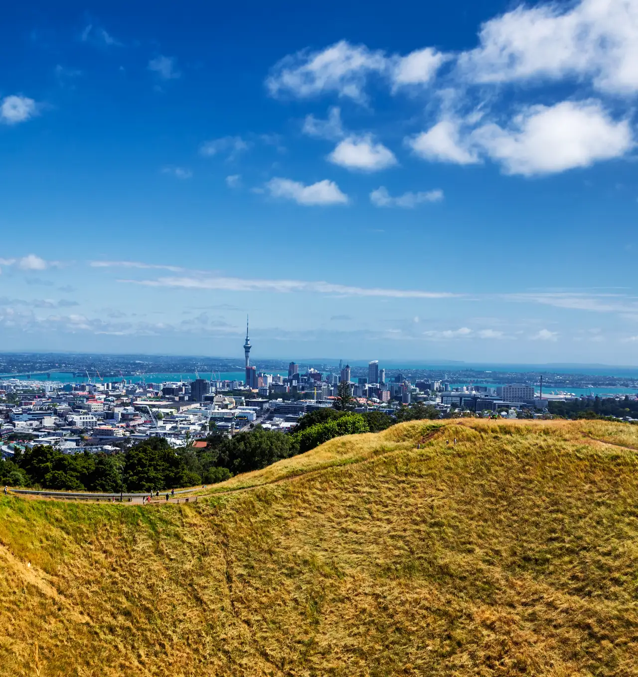 Looking out over Auckland from Mt Eden