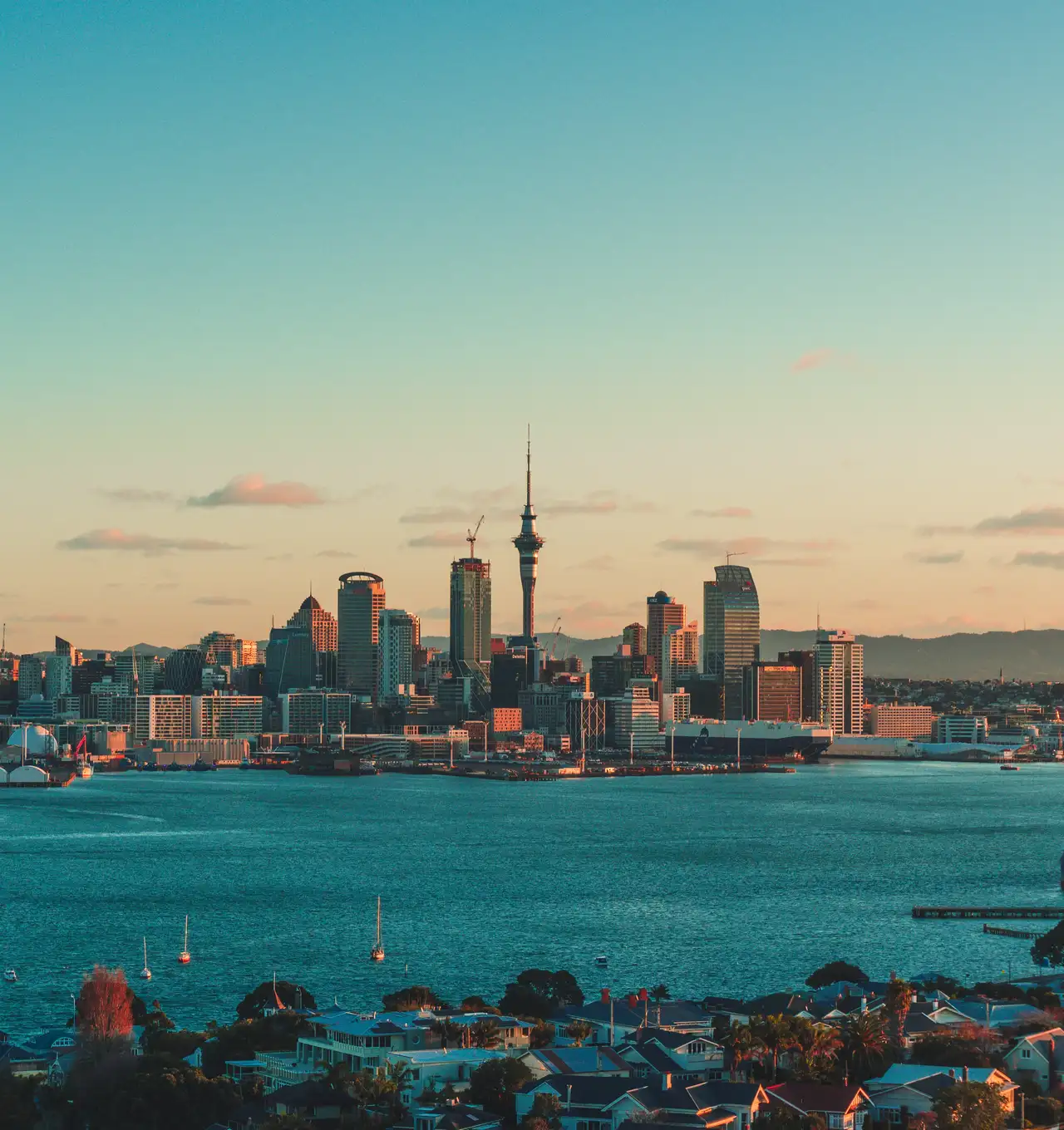 Looking out over Auckland from Devonport